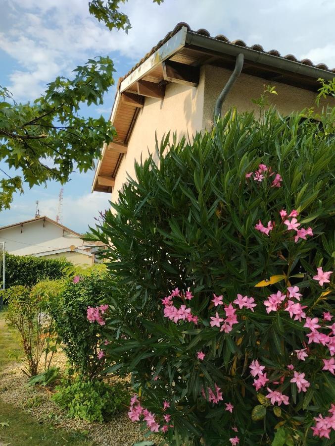 Bed and Breakfast L'Atelier Saint-Sulpice Entre Bordeaux Et St Emilion Exterior foto